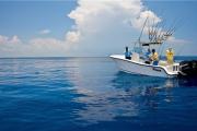 News & Tips: Winter Salt Fishing Hot Spots in Tampa Bay...