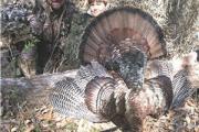 News & Tips: Youth Hunter Get's a Tip