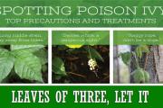 News & Tips: 12 Little Known Facts About Poison Ivy (infographic)...