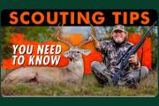 Scouting Tips You Need To Know