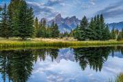 Celebrating Conservation in America