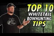 10 Essential Whitetail Bowhunting Tips
