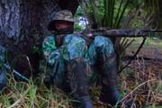 Florida turkey hunter up next to a tree