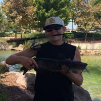 Not enough hands for this cat