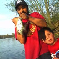 Crappie