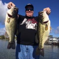 Fat Beauties Clear Lake!