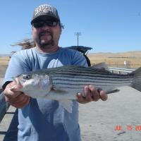 Dave's Striper Bass