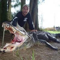 12 foot 4 inch Gator