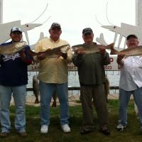 A Bunch of Big Boy's & Big Fish