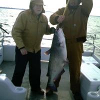 42 lb blue catfish