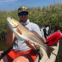 Nice Shell Point Redfish