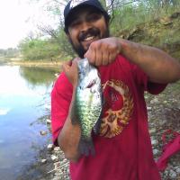 Nice size crappie