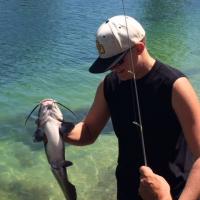 Watch out for those cat whiskers!