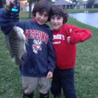 Tilapia in the backyard