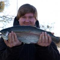 Rainbow Trout