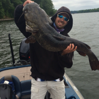 60 lb Opelousas Catfish