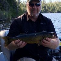 Walleye Fishing in Ontario