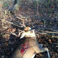 2012 Buck
