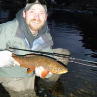Nice Brownie - trout