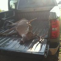 2012 Buck