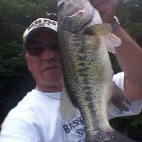 Big Ol' Largemouth Bass