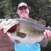Fattie Bass
