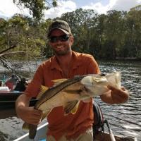 Fishing snook