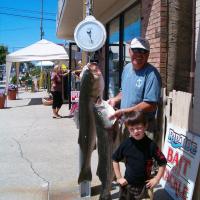 50 Striper Saltwater Bass