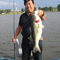 Lake Toho Bass
