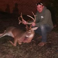 Tennessee whitetail buck