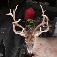 Nice Rack: Tennessee Buck