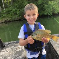 Young bluegill angler