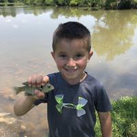 Tiny Bluegill
