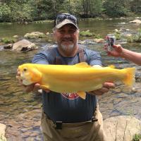 Check out the golden trout