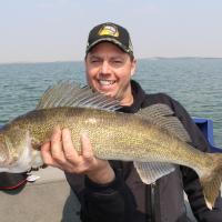 Nice walleye