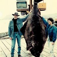 Very large flounder held up by a crane