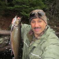 Big Trout, Burntroot, LaMuir Lakes