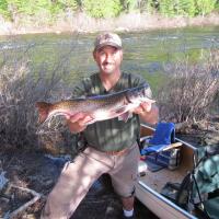 Good Sized Brown Trout