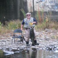 Comfy Salmon Fishing