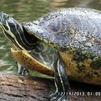 I m ready for my closeup