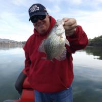 Nice Crappie