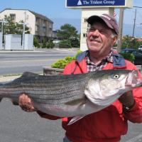 44" Saltwater Striper Bass