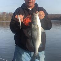 Striper Fishing