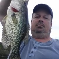 Crappie attitude