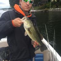 Connecticut Bass Fish