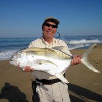 Tom's Crevalle Jack