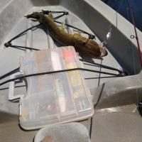 Decent Pickerel: Kayak Fishing