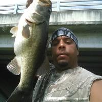 Bass Fishing