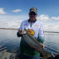 They just keep coming