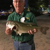 5 lb Bass